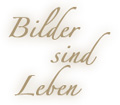 Bilder sind Leben